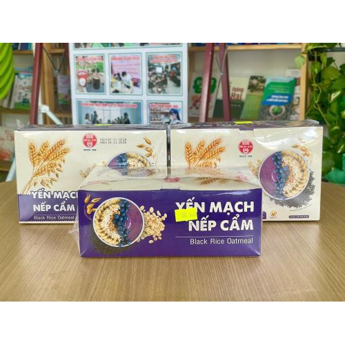 Yến Mạch Nếp Cẩm - Bích Chi