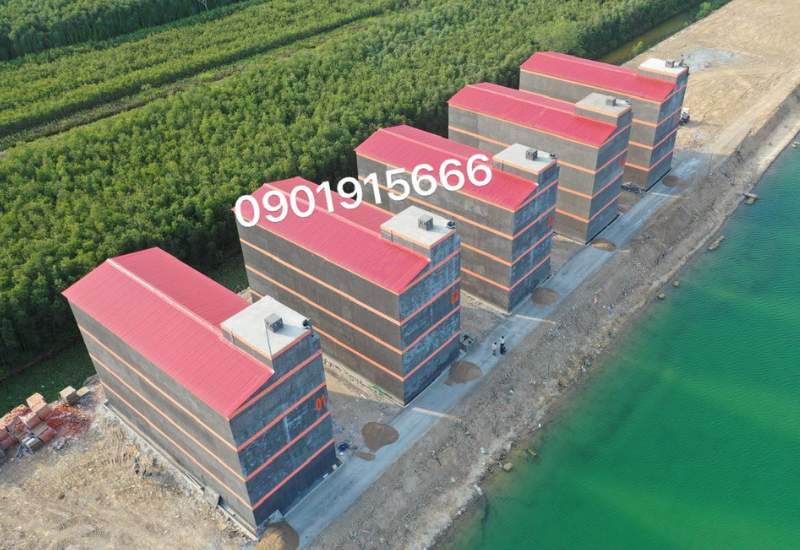 Các chọn đất nhà xây tổ yến