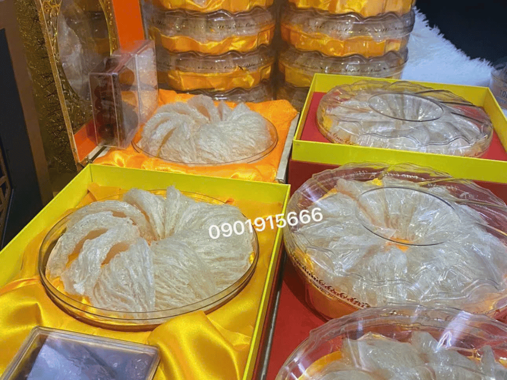 Dưỡng chất quý giá – Nền tảng cho sức khỏe cả đời