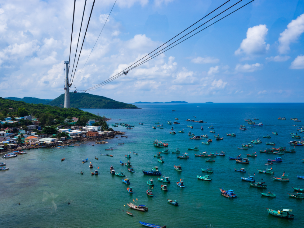 Tổng kết
