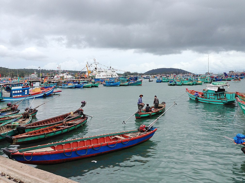 Kinh tế và xã hội