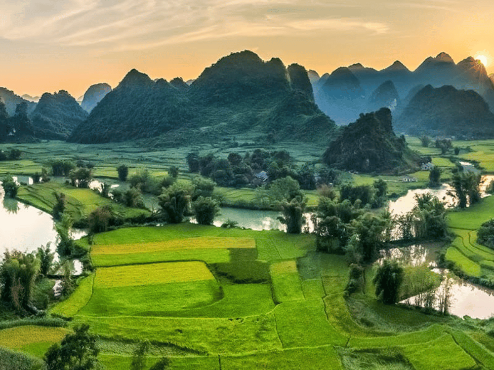 Về chúng tôi