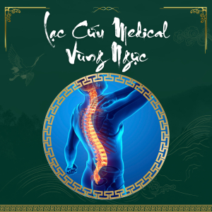 Lạc Cứu Medical Vùng Ngực