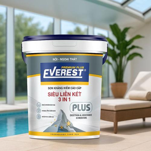 Rêu Mốc: Kẻ Thù Của Tường Nhà Và Cách Phòng Tránh