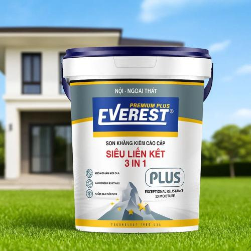 Anh Nam: “Tường Nhà Tôi Không Còn Rêu Mốc Nhờ EVEREST PLUS”