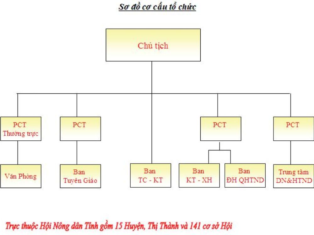 Cơ cấu tổ chức & phạm vi hoạt động